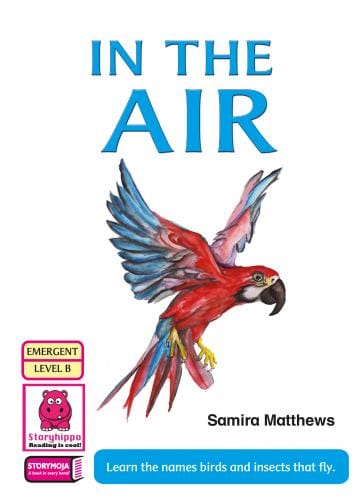 Cover of In the Air
