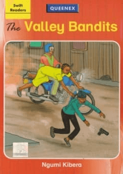 Cover of The Valley Bandits
